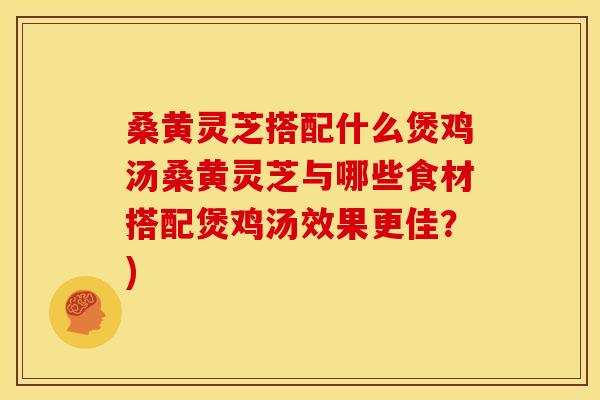 桑黄灵芝搭配什么煲鸡汤桑黄灵芝与哪些食材搭配煲鸡汤效果更佳？)
