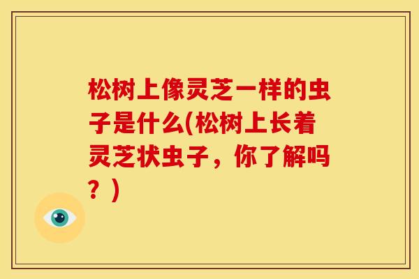 松树上像灵芝一样的虫子是什么(松树上长着灵芝状虫子，你了解吗？)