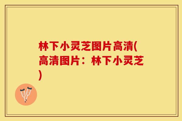 林下小灵芝图片高清(高清图片：林下小灵芝)