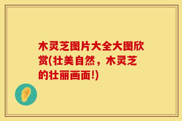 木灵芝图片大全大图欣赏(壮美自然，木灵芝的壮丽画面!)