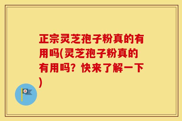 正宗灵芝孢子粉真的有用吗(灵芝孢子粉真的有用吗？快来了解一下)