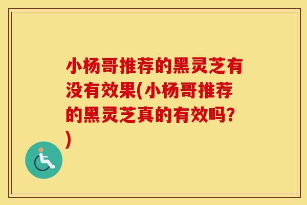 小杨哥推荐的黑灵芝有没有效果(小杨哥推荐的黑灵芝真的有效吗？)