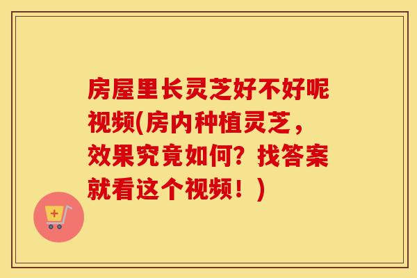 房屋里长灵芝好不好呢视频(房内种植灵芝，效果究竟如何？找答案就看这个视频！)