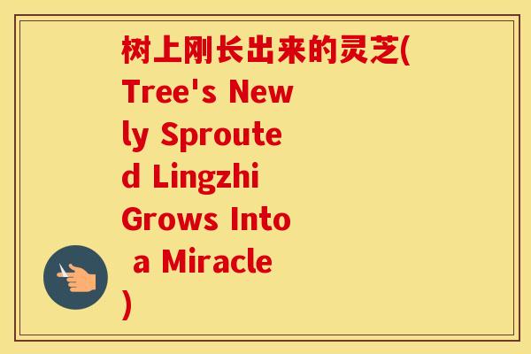 树上刚长出来的灵芝(Tree's Newly Sprouted Lingzhi Grows Into a Miracle)