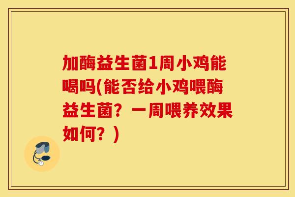 加酶益生菌1周小鸡能喝吗(能否给小鸡喂酶益生菌？一周喂养效果如何？)
