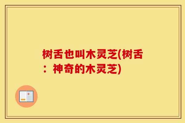 树舌也叫木灵芝(树舌：神奇的木灵芝)