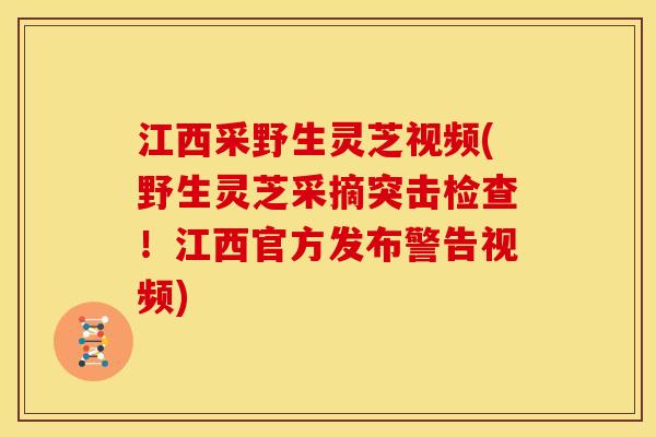 江西采野生灵芝视频(野生灵芝采摘突击检查！江西官方发布警告视频)