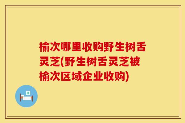 榆次哪里收购野生树舌灵芝(野生树舌灵芝被榆次区域企业收购)