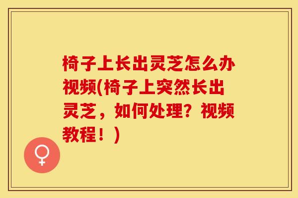 椅子上长出灵芝怎么办视频(椅子上突然长出灵芝，如何处理？视频教程！)