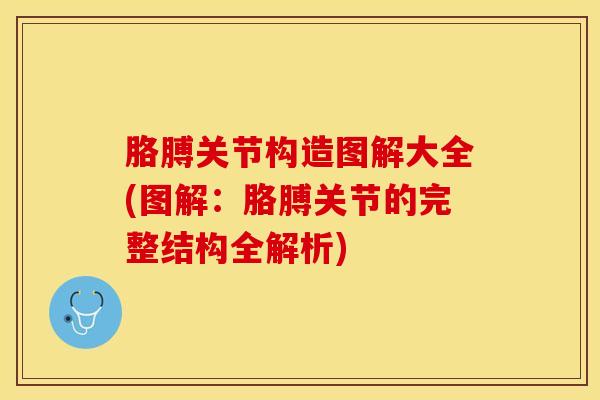胳膊关节构造图解大全(图解:胳膊关节的完整结构全解析) 胳膊关节构造图解大全(图解:胳膊关节的完整结构全解析)