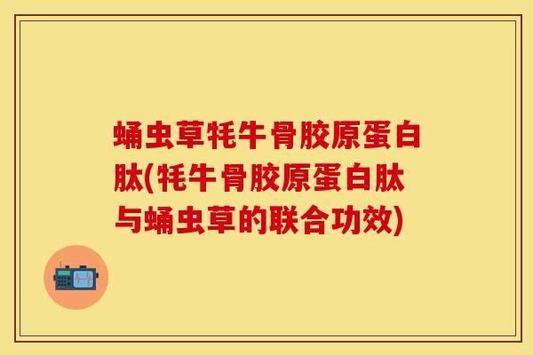 蛹虫草牦牛骨胶原蛋白肽(牦牛骨胶原蛋白肽与蛹虫草的联合功效)