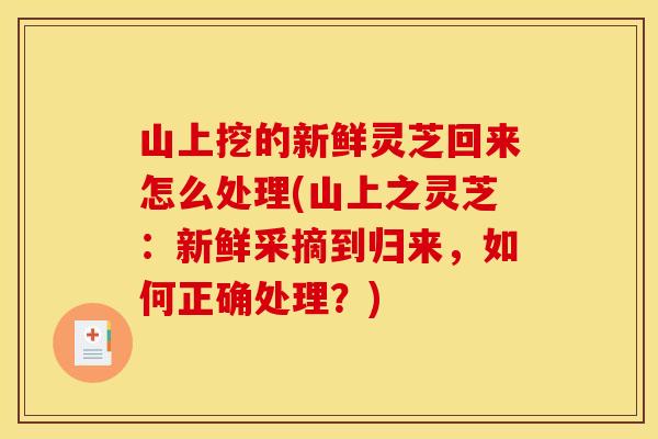 山上挖的新鲜灵芝回来怎么处理(山上之灵芝：新鲜采摘到归来，如何正确处理？)