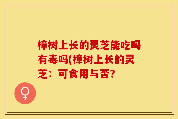 樟树上长的灵芝能吃吗有毒吗(樟树上长的灵芝：可食用与否？