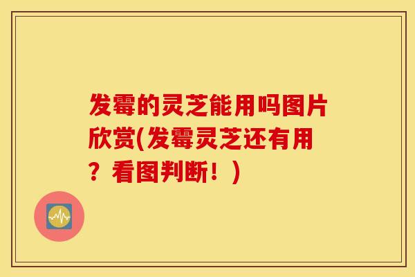 发霉的灵芝能用吗图片欣赏(发霉灵芝还有用？看图判断！)