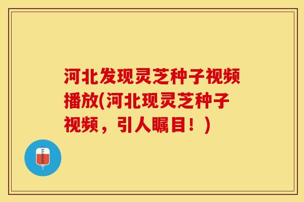 河北发现灵芝种子视频播放(河北现灵芝种子视频,引人瞩目!) 河北发现灵芝种子视频播放(河北现灵芝种子视频,引人瞩目!)