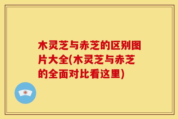 木灵芝与赤芝的区别图片大全(木灵芝与赤芝的全面对比看这里)