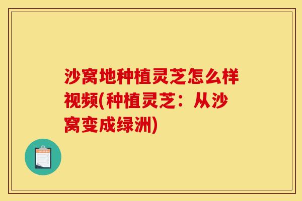 沙窝地种植灵芝怎么样视频(种植灵芝：从沙窝变成绿洲)