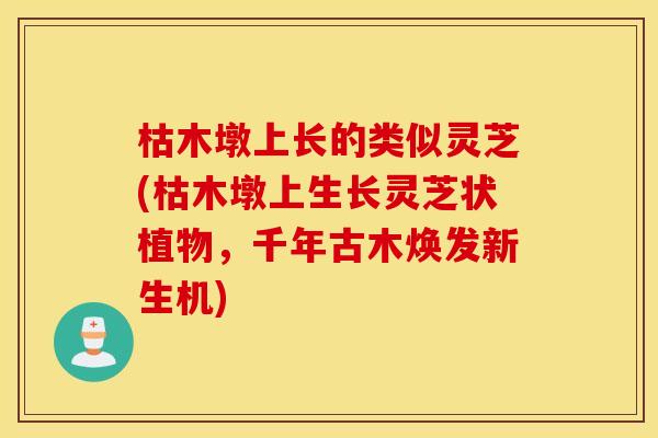 枯木墩上长的类似灵芝(枯木墩上生长灵芝状植物，千年古木焕发新生机)