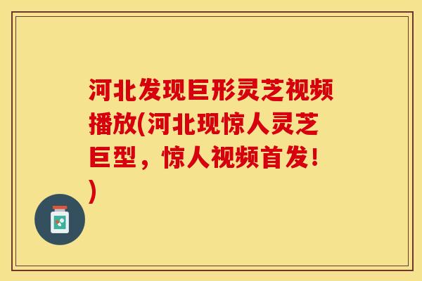 河北发现巨形灵芝视频播放(河北现惊人灵芝巨型,惊人视频首发!) 河北发现巨形灵芝视频播放(河北现惊人灵芝巨型,惊人视频首发!)