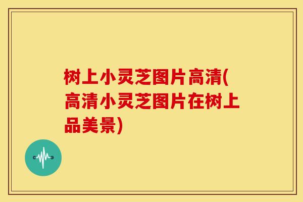 树上小灵芝图片高清(高清小灵芝图片在树上品美景)