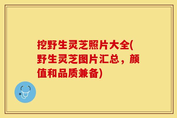挖野生灵芝照片大全(野生灵芝图片汇总，颜值和品质兼备)