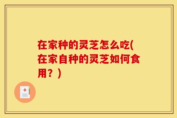 在家种的灵芝怎么吃(在家自种的灵芝如何食用？)