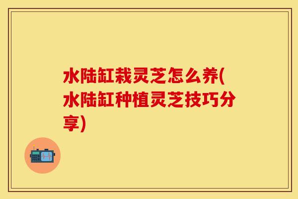 水陆缸栽灵芝怎么养(水陆缸种植灵芝技巧分享)