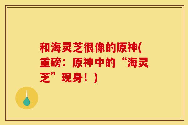 和海灵芝很像的原神(重磅：原神中的“海灵芝”现身！)