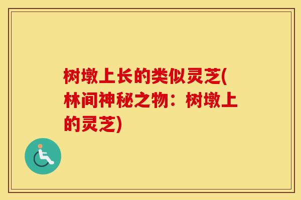 树墩上长的类似灵芝(林间神秘之物：树墩上的灵芝)