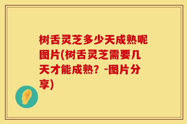 树舌灵芝多少天成熟呢图片(树舌灵芝需要几天才能成熟?-图片分享) 树舌灵芝多少天成熟呢图片(树舌灵芝需要几天才能成熟?-图片分享)