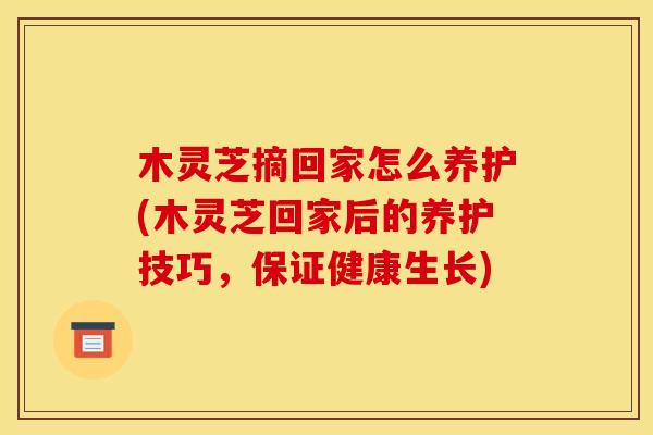 木灵芝摘回家怎么养护(木灵芝回家后的养护技巧，保证健康生长)