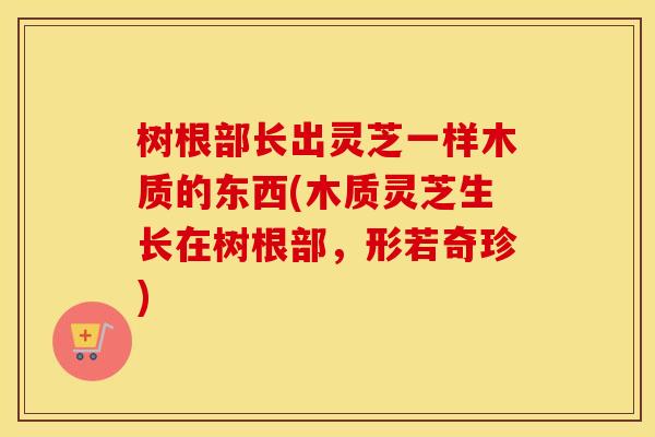 树根部长出灵芝一样木质的东西(木质灵芝生长在树根部，形若奇珍)