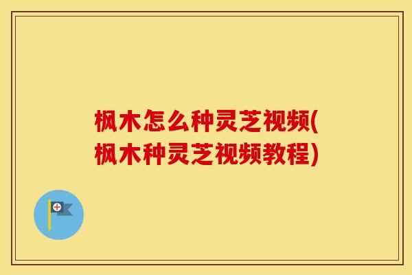 枫木怎么种灵芝视频(枫木种灵芝视频教程)