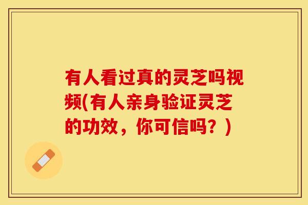 有人看过真的灵芝吗视频(有人亲身验证灵芝的功效，你可信吗？)
