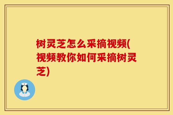 树灵芝怎么采摘视频(视频教你如何采摘树灵芝)