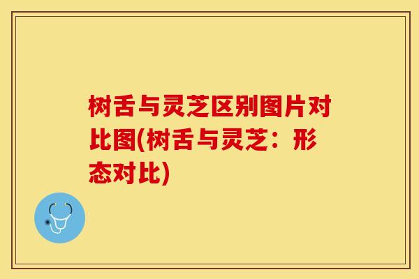 树舌与灵芝区别图片对比图(树舌与灵芝：形态对比)
