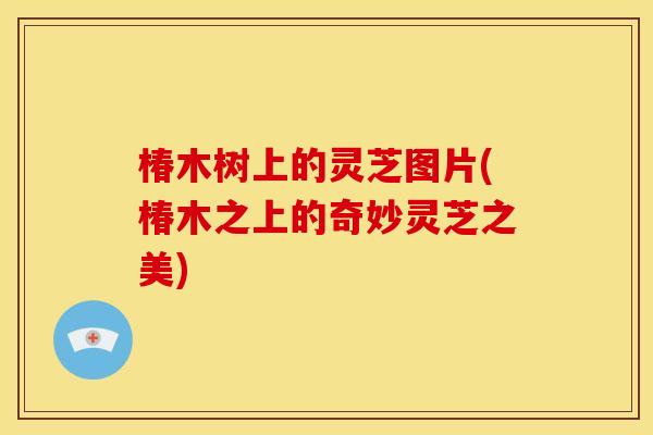 椿木树上的灵芝图片(椿木之上的奇妙灵芝之美)