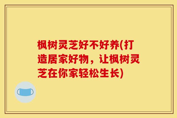 枫树灵芝好不好养(打造居家好物，让枫树灵芝在你家轻松生长)