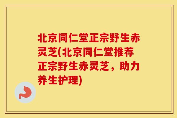 北京同仁堂正宗野生赤灵芝(北京同仁堂推荐正宗野生赤灵芝，助力养生护理)
