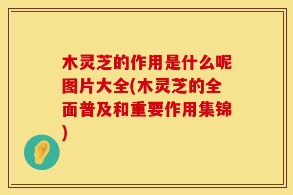 木灵芝的作用是什么呢图片大全(木灵芝的全面普及和重要作用集锦)