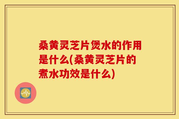 桑黄灵芝片煲水的作用是什么(桑黄灵芝片的煮水功效是什么)