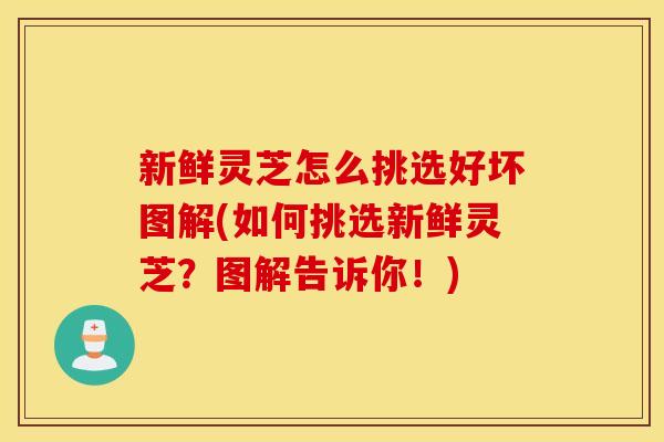 新鲜灵芝怎么挑选好坏图解(如何挑选新鲜灵芝？图解告诉你！)