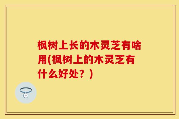 枫树上长的木灵芝有啥用(枫树上的木灵芝有什么好处？)