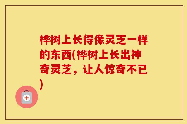 桦树上长得像灵芝一样的东西(桦树上长出神奇灵芝，让人惊奇不已)