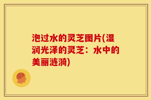 泡过水的灵芝图片(湿润光泽的灵芝：水中的美丽涟漪)