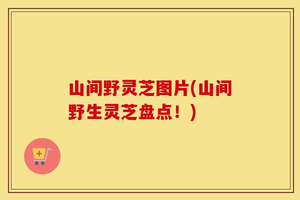 山间野灵芝图片(山间野生灵芝盘点！)