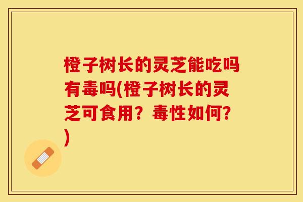 橙子树长的灵芝能吃吗有毒吗(橙子树长的灵芝可食用？毒性如何？)