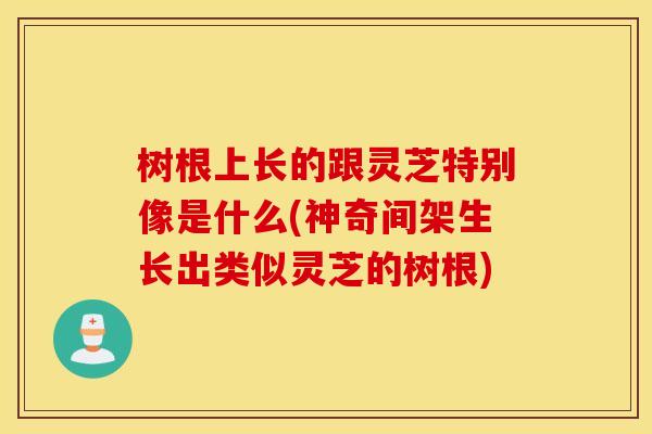 树根上长的跟灵芝特别像是什么(神奇间架生长出类似灵芝的树根)