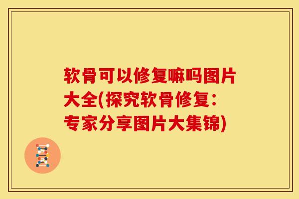 软骨可以修复嘛吗图片大全(探究软骨修复：专家分享图片大集锦)