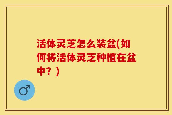 活体灵芝怎么装盆(如何将活体灵芝种植在盆中？)